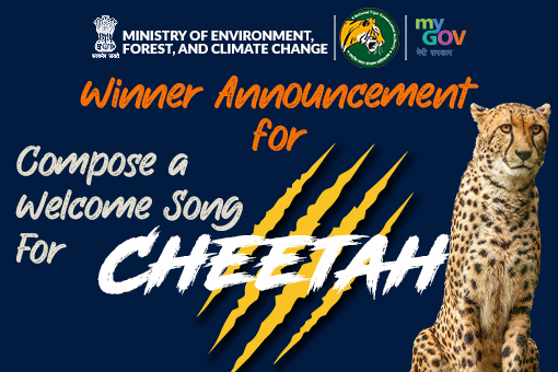 Image of Winner Announcement for Compose a Welcome Song For Cheetah
