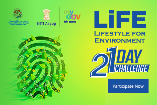 Image of Lifestyle for Environment - LiFE