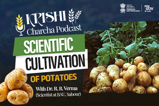 Image of Scientific cultivation of potatoes' With Dr. R. B. Verma