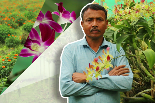 Prabhat Chandra Das: The Flower Man of Hajo