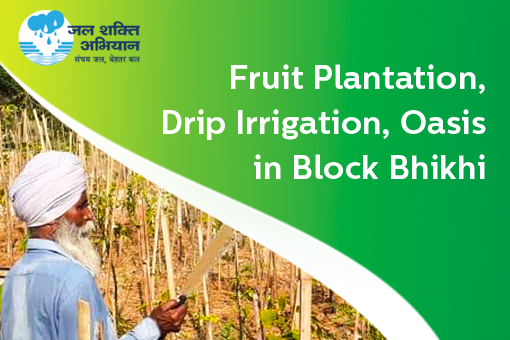 Fruit Plantation, Drip Irrigation, Oasis in Block Bhikhi