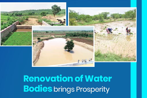 Renovation of water bodies brings prosperity