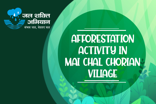 Afforestation activity in Mai Chal Chorian village