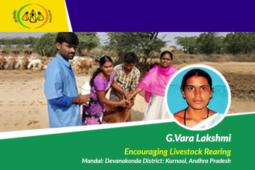Feed your livestock the way they feed your family – G.Vara Lakshmi