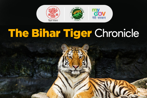 The Bihar Tiger Chronicle