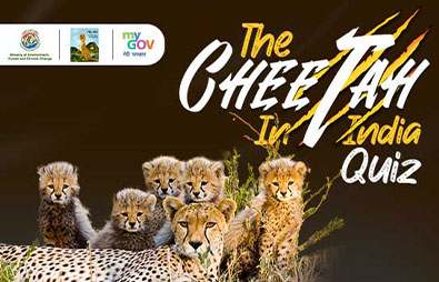 The 'Cheetah In India' Quiz<br />
