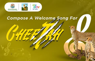 Compose A Welcome Song For Cheetah