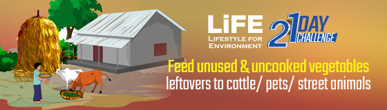 Day 10 - Feed unused and uncooked vegetables leftovers to cattle/ pets/ street animals