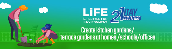 दिन 15 - घरों/स्कूलों/कार्यालयों में किचन गार्डन/टेरेस गार्डन बनाएं