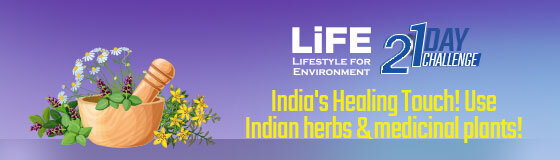 Day 18 - Encourage use of  indigenous herbs and medicinal plants such as neem, tulsi, giloy, mint, curry leaves, ashwagandha, etc. 