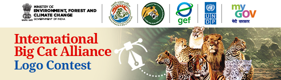 International Big Cat Alliance Logo Contest