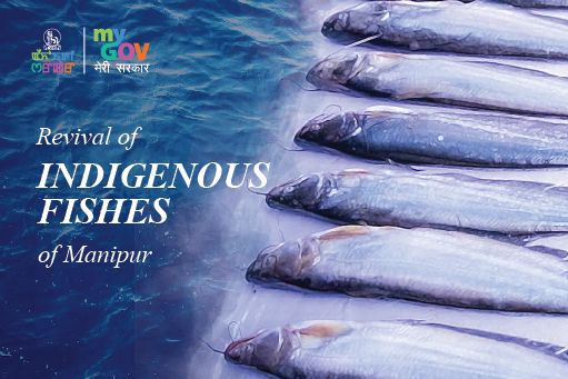 Revival of Indigenous Fishes of Manipur