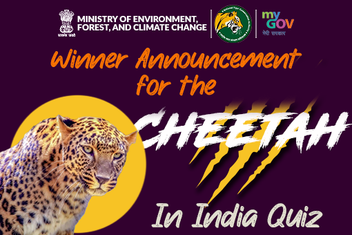 Winner Announcement for The Cheetah In India Quiz