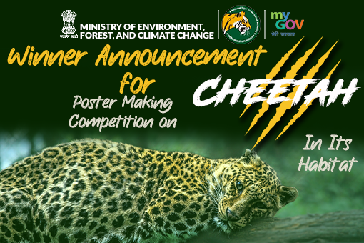 Winner Announcement for Poster Making Competition on Cheetah In Its Habitat