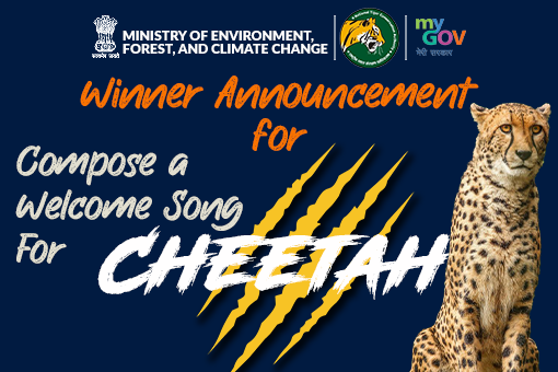 Winner Announcement for Compose a Welcome Song For Cheetah