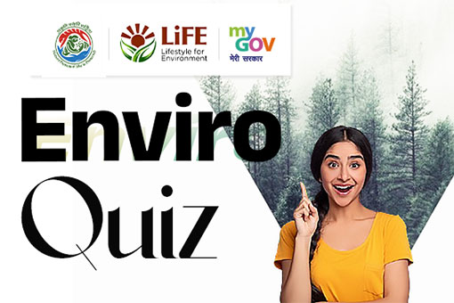 Enviro Quiz