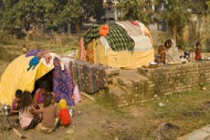 Treating the organized syndicates for begging