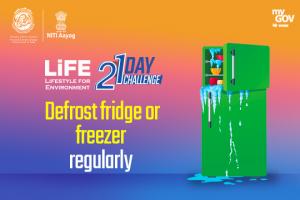 Day 14 - Defrost fridge or freezer regularly