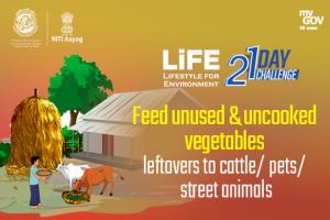 Day 10 - Feed unused and uncooked vegetables leftovers to cattle/ pets/ street animals