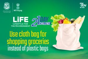 Day 2:Use cloth bags for shopping for groceries instead of plastic bags