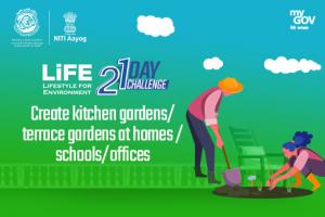 Day 15 - Create kitchen gardens/ terrace gardens at homes/ schools/ offices