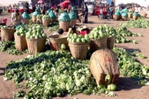 How to reduce post-harvest losses in supply chain of fruits & vegetables?