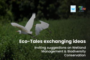 Eco-Tales exchanging ideas, suggestions on 'Wetland Management and Biodiversity Conservation