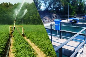  Give Suggestions to Reform Water Supply in Chandigarh 