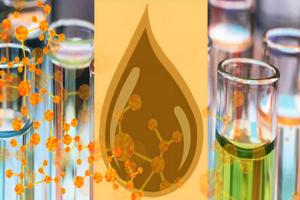 Policy interventions required for growth of Chemicals & Petrochemicals sector