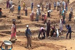 5 global or Indian efforts for job creation