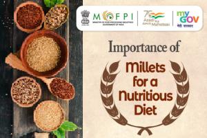 Importance of Millets for a Nutritious Diet