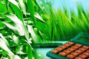 Suggest Name for Proposed New Crop Insurance Scheme