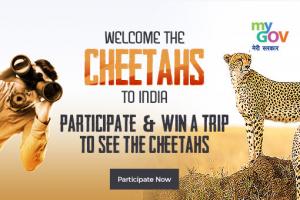 Welcome Cheetahs to India