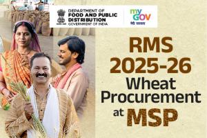 RMS 2025-26 Wheat Procurement at MSP