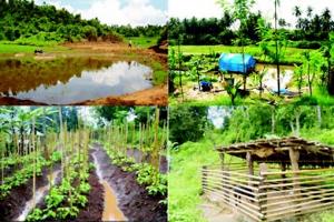 How Sustainable Management of Natural Resources may achieve Food & Rural livelihood security in India?