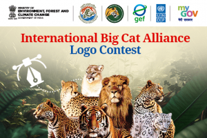 International Big Cat Alliance Logo Contest