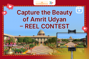 Capture the Beauty of Amrit Udyan- Reel Contest