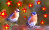 mygov_14396552407513461