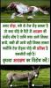 mygov_14415988776991421