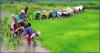 mygov_144161421611620651