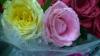 mygov_144212931312111001