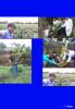 mygov_14426722960