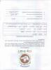 mygov_144619505617253271