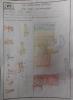 mygov_144620363017513551