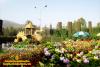 mygov_14593576871471893 mygov_14593576871471893