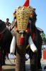 mygov_145939389531613674 mygov_145939389531613674