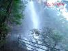 mygov_146074140519202731