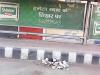 mygov_146142925633330394