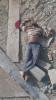 mygov_146692130042456784