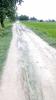 mygov_147207155644038961